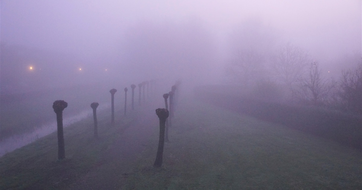 Wolken met lokaal kans op mist, weinig ruimte voor de zon op Schouwen-Duiveland in de ochtend