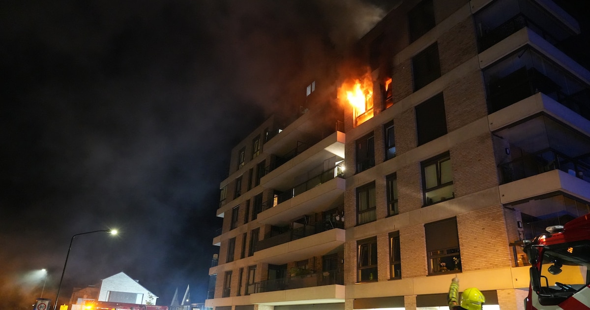 Uitslaande brand bij flat in Oosterhout: bewoners met hoogwerker gered, complex ontruimd