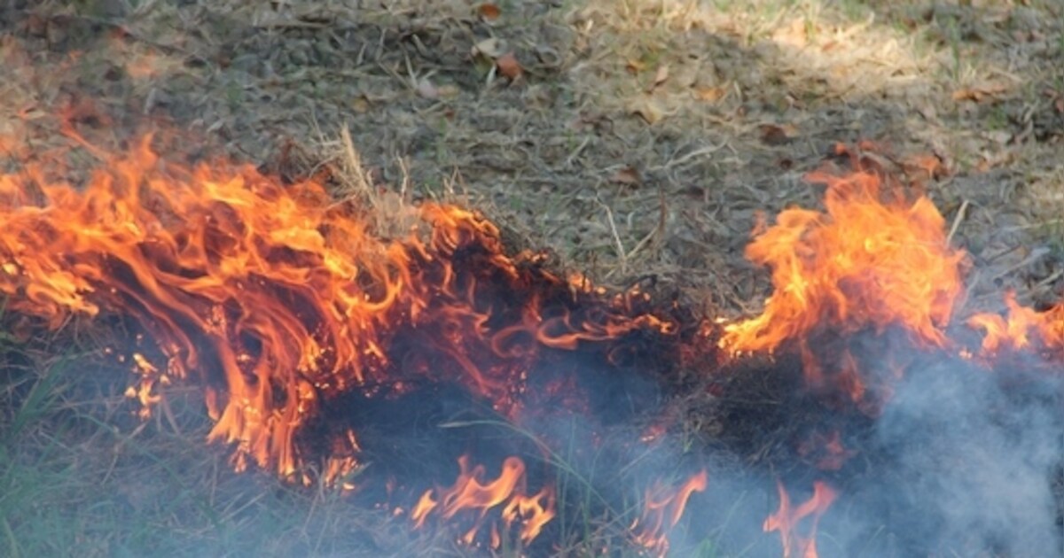 Omstanders blussen eigenhandig duinbrand in Noordwelle