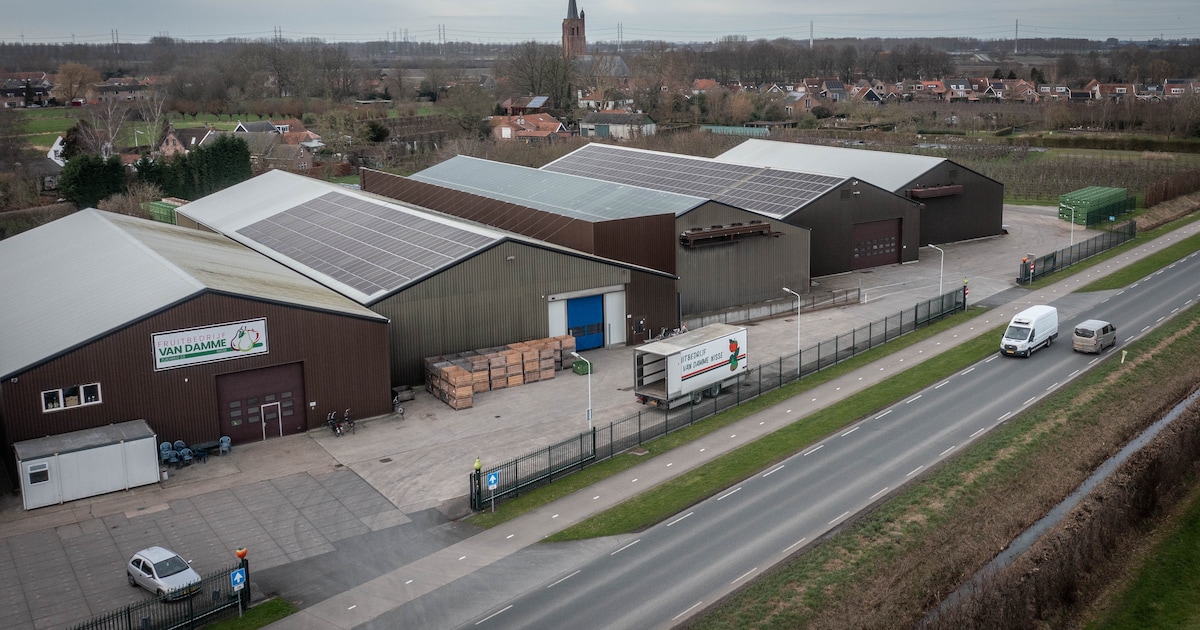 Natuurorganisaties willen voorkomen dat Van Damme met uitbreiding De Zak naar de filistijnen helpt