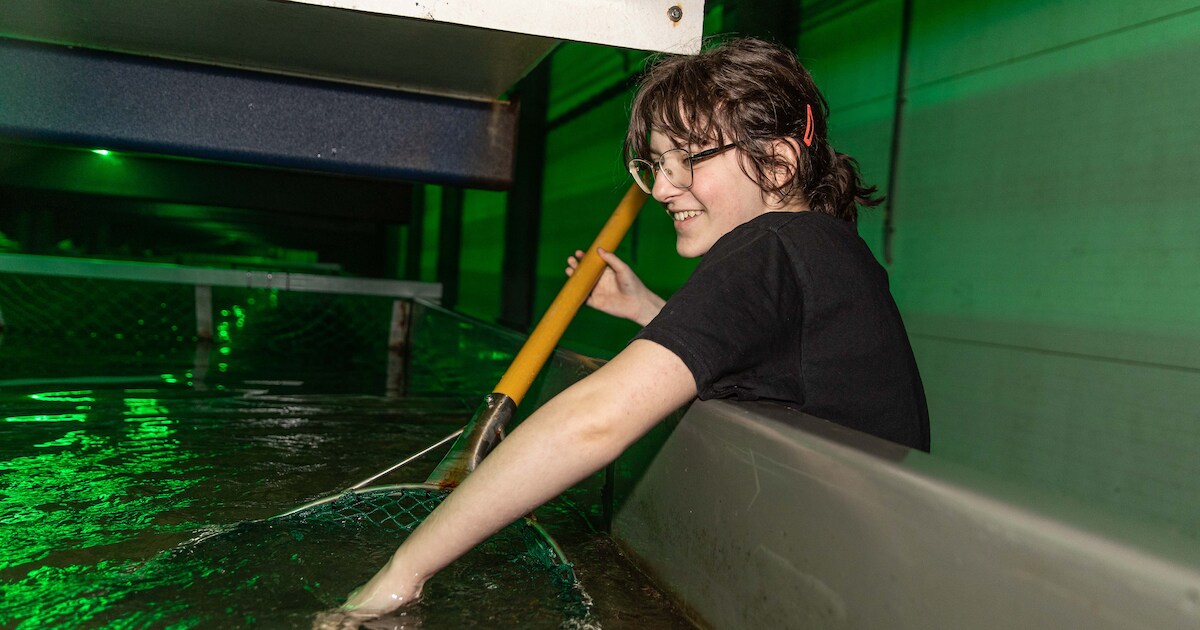 Mbo’ers Mike en Liovana dompelen zich onder in de aquacultuur: ‘Ik word blij van water en beestjes’