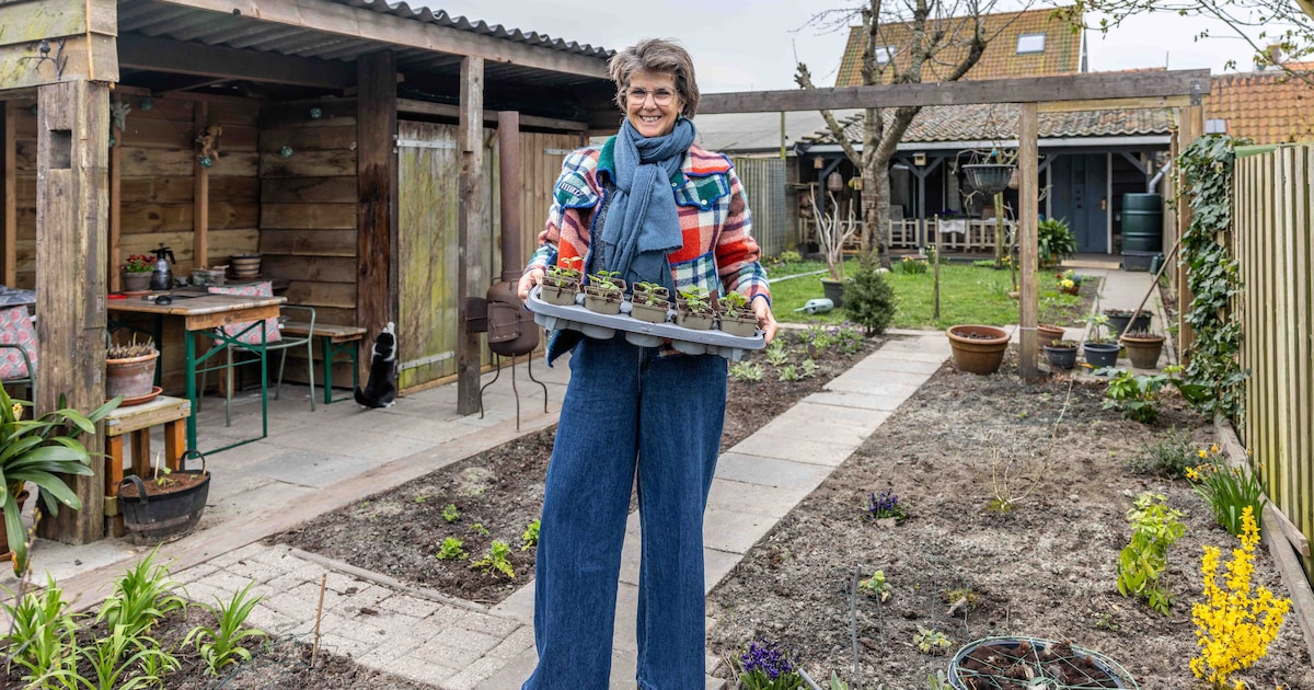 Na een leven in de Randstad is Zeeland een verademing voor Jacqueline: 'Ik dacht: wat is dít? Zó vri