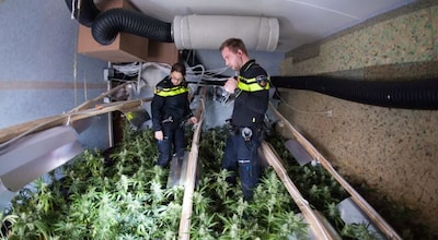 Anonieme tip leidt tot drugsvondst in Bergen op Zoom, ook hennepkwekerij ontdekt op andere locatie