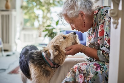 Verhuizen? 65-plusser op Schouwen-Duiveland met koophuis dit voorjaar actiever dan je zou verwachten