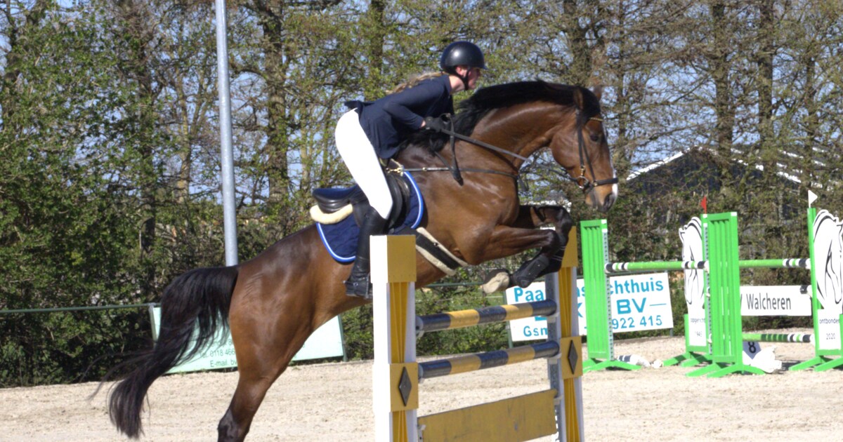 Anouchka Marinissen met ‘fantastisch springpaard’ foutloos bij Jumping de Kroo