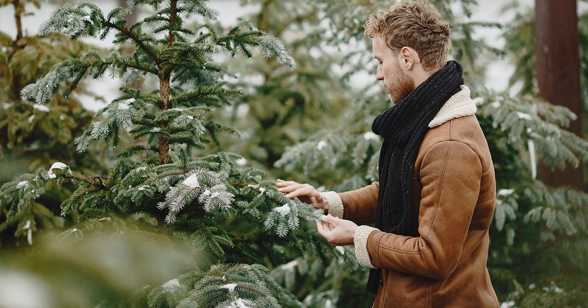 Kerstboom kopen: hier in Vlaardingen kan het