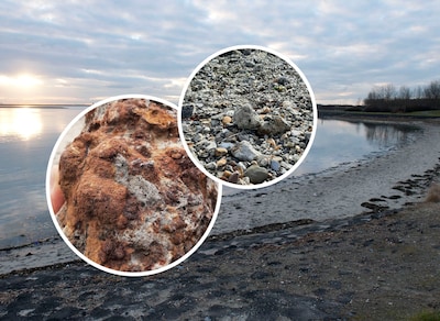 Provincie dringt aan op definitief verbod op staalslakken: ‘We willen deze rommel niet in onze Zeeuw