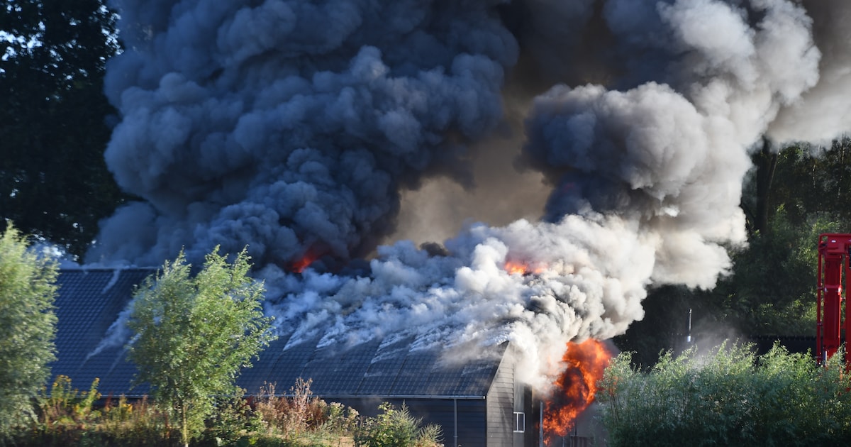 Enorme brand in paardenstal in Aardenburg