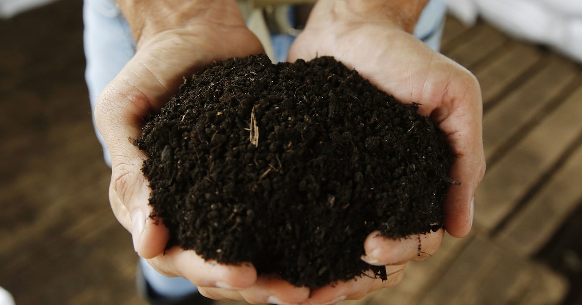 Gratis compost voor je tuin! Op deze dag haal je het op in Middelburg