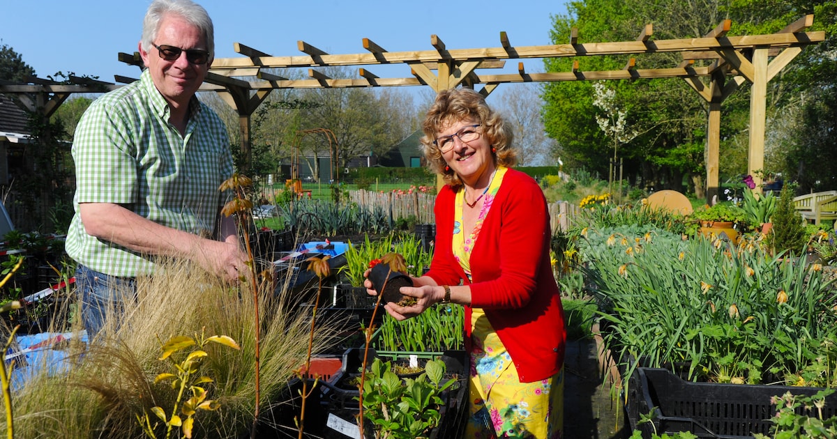 Eigenaars 'Mooiste tuin van Nederland' beginnen helemaal opnieuw