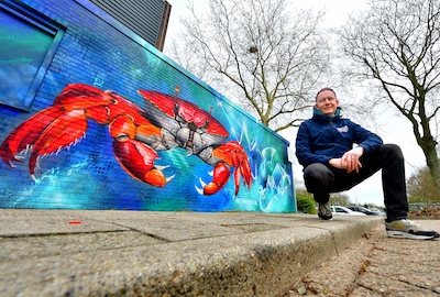 Mega­krab duikt op in Bergen op Zoom: ‘Ze stoppen er zelfs speciaal voor om een foto te maken’