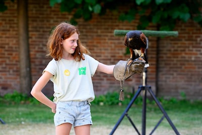 Margaux (9) is niet bang voor Radja, al kan die met haar klauw harder knijpen dan papa met zijn hand