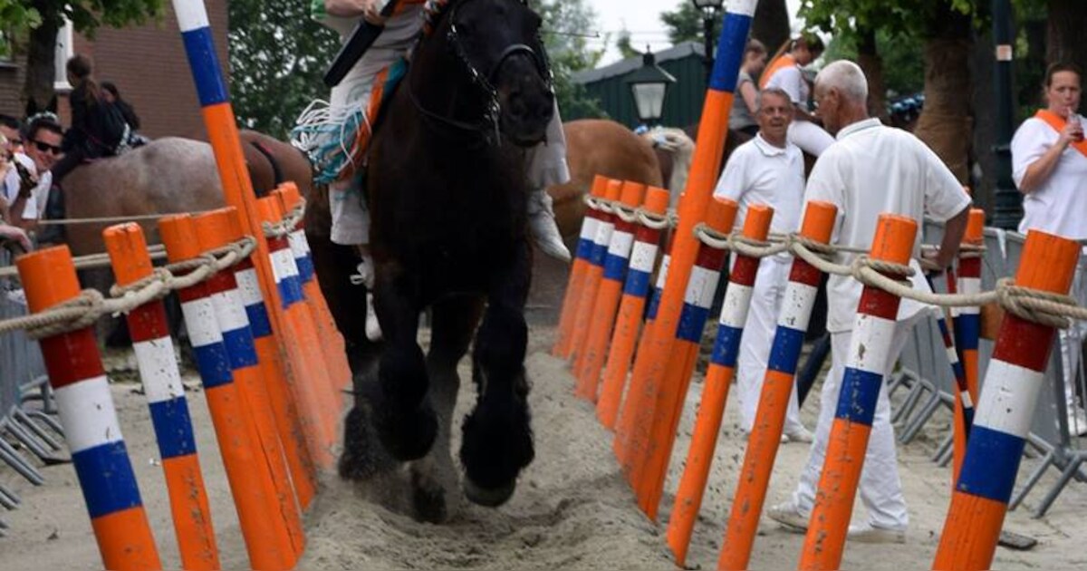 Winnaars 2017 direct in vorm in 2018