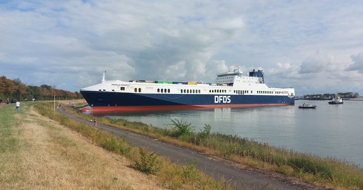 Zeeschip loopt vast in Westbuitenhaven Terneuzen, sleepboten proberen het los te trekken