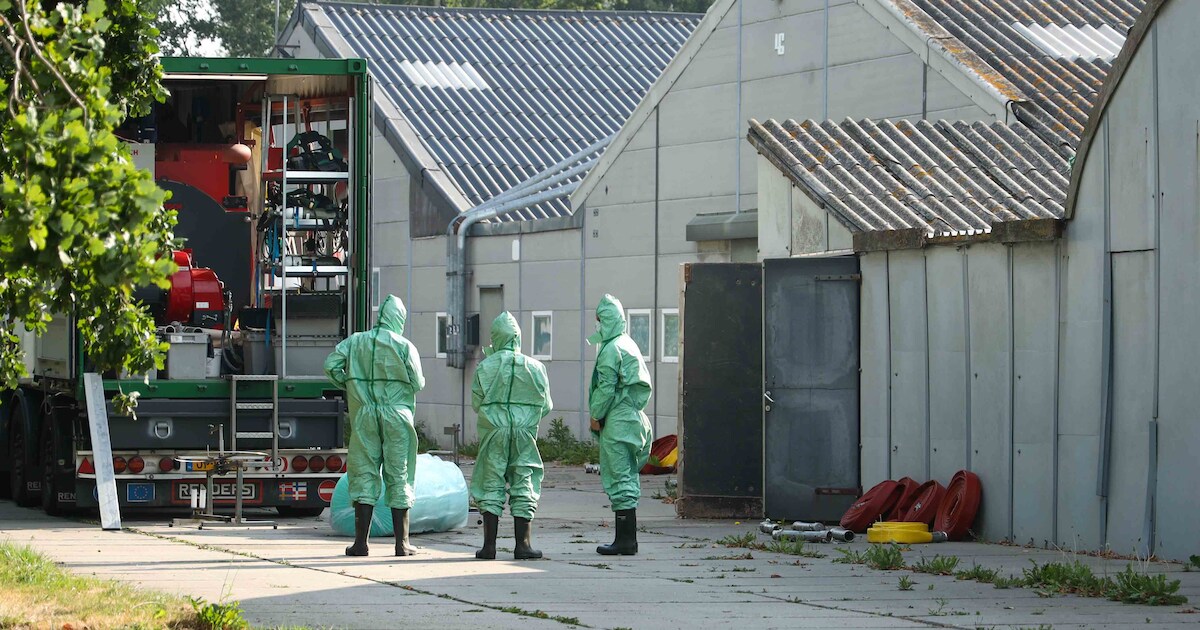 Vogelgriep in Schore: 76.000 kippen geruimd