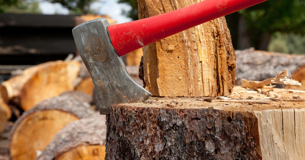 Terneuzen haalt snoeiafval op vrijdag 10 april op