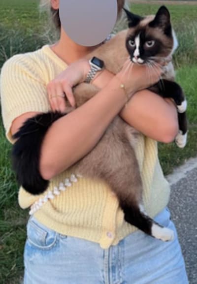 Heb jij Sjors, Mowgly of Kiko gezien? Deze zes huisdieren worden in Schouwen-Duiveland vermist