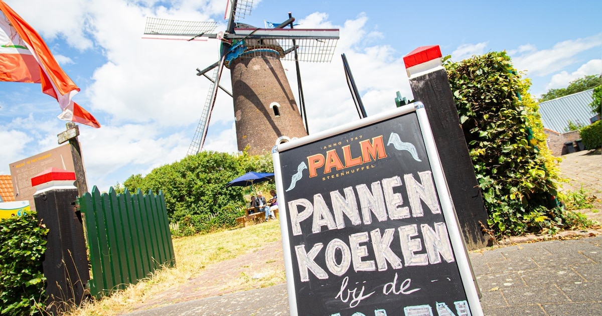Bij deze molens in Bergen op Zoom mag je binnenkort zelf binnenkijken
