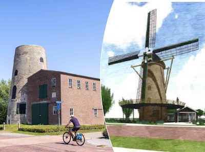 Middelburg lijkt te luisteren naar de molenwensen uit Sint Laurens, toch is het dorp boos: ‘Ik ben verbijsterd’
