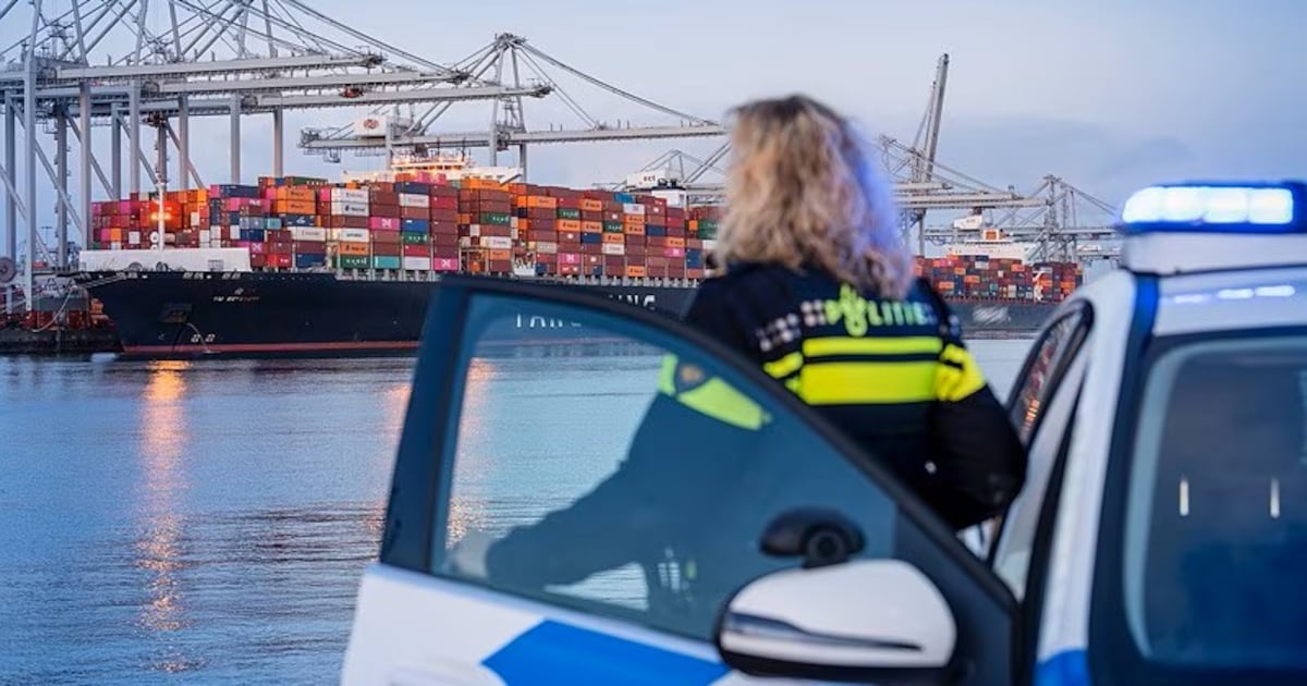 Beveiligers in havens van Terneuzen en Vlissingen moeten werk staken na controles Zeehavenpolitie