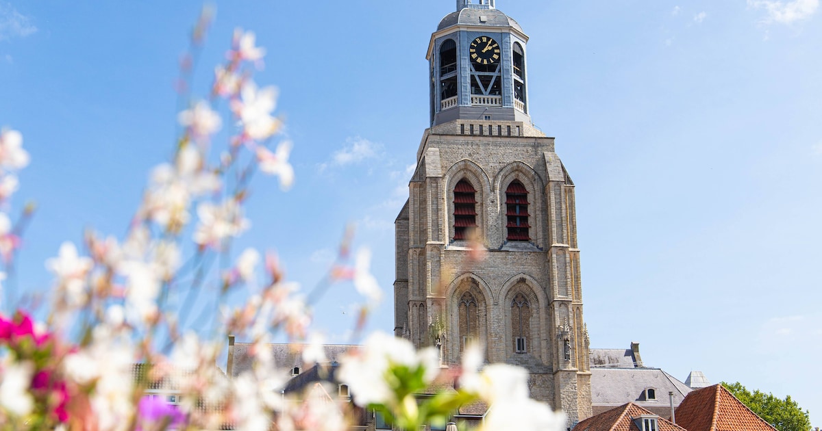 Zonnestralen vangen: Bergs genieten van de zon op woensdag