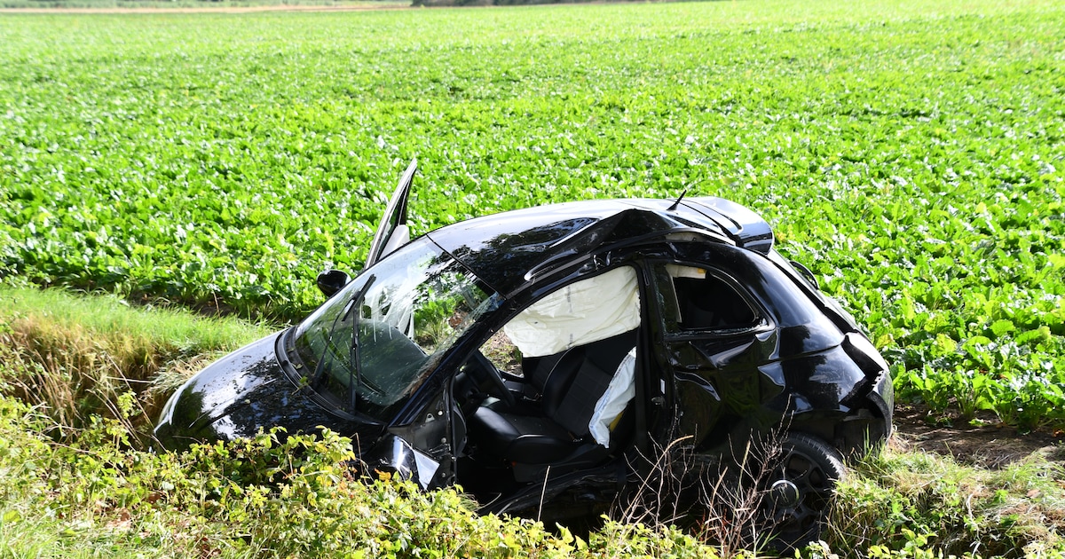 Vrouw ernstig gewond na botsing tegen boom op Driesprongweg in Biervliet.