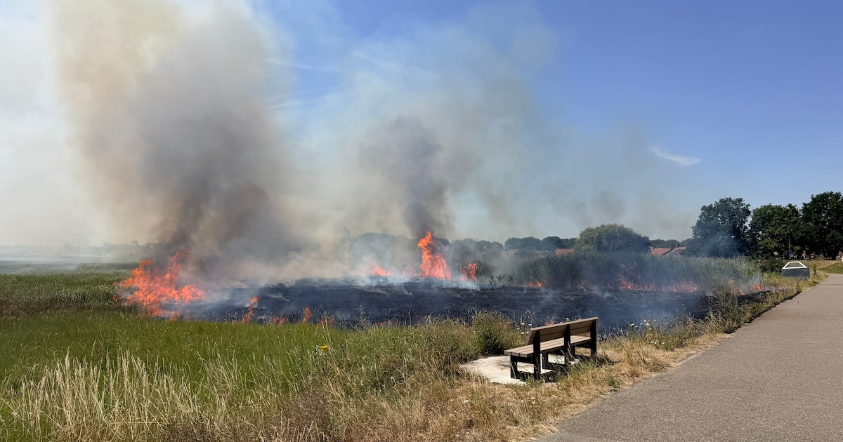 Groot stuk rietveld in brand bij Sint Philipsland