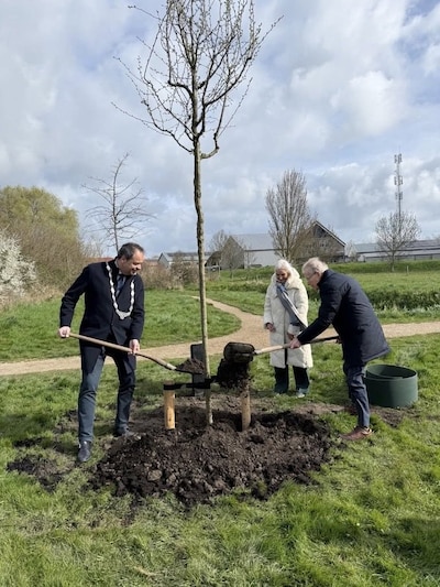 Twee honderdjarigen planten bomen in Schouwen-Duiveland
