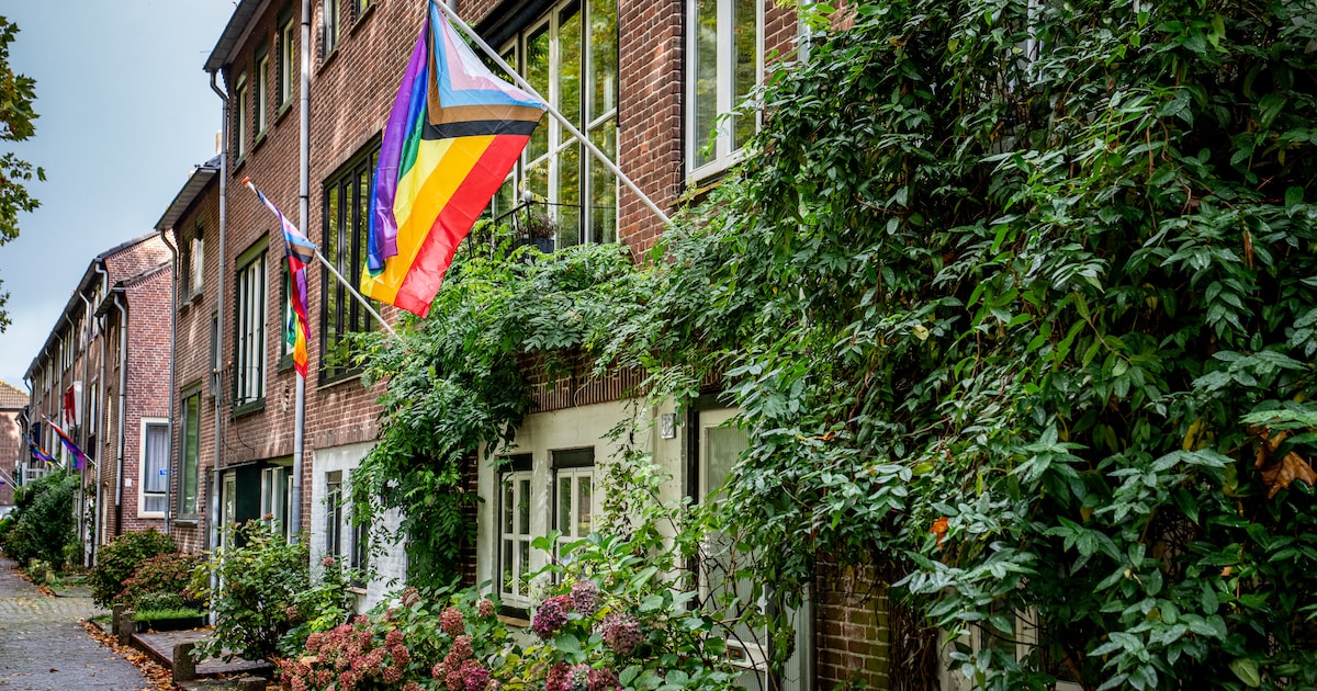 Bredase buurt hangt vol regenboogvlaggen: ‘Je mag zijn wie je bent’