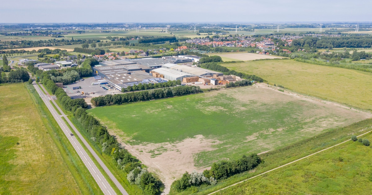 Wethouder blij met ‘uniek plan’ voor veelbesproken uitbreiding uienbedrijf ‘s-Gravenpolder