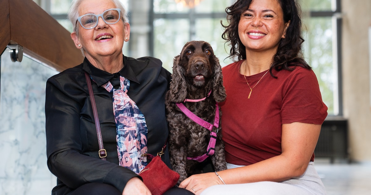Antwerpen lanceert huisdierpas: “Voorkomen dat huisdieren aan hun lot worden overgelaten”