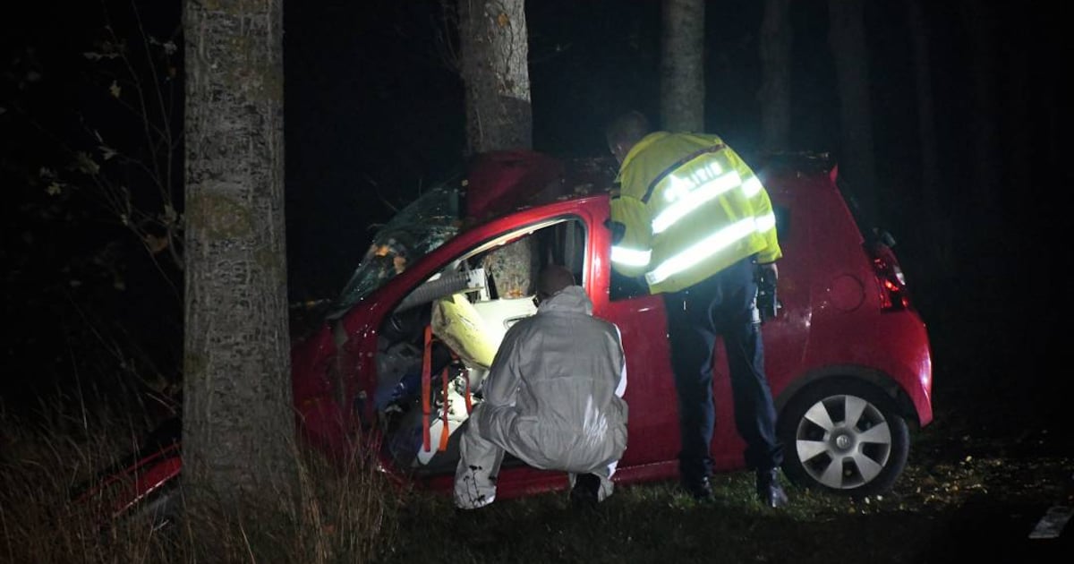 Automobilist overleden na botsing met boom in Sluis.