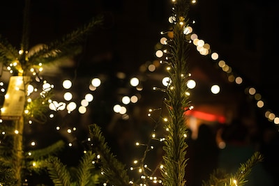 Christmas at Fort de Roovere gaat door (en je kunt bijna je kaartje kopen)