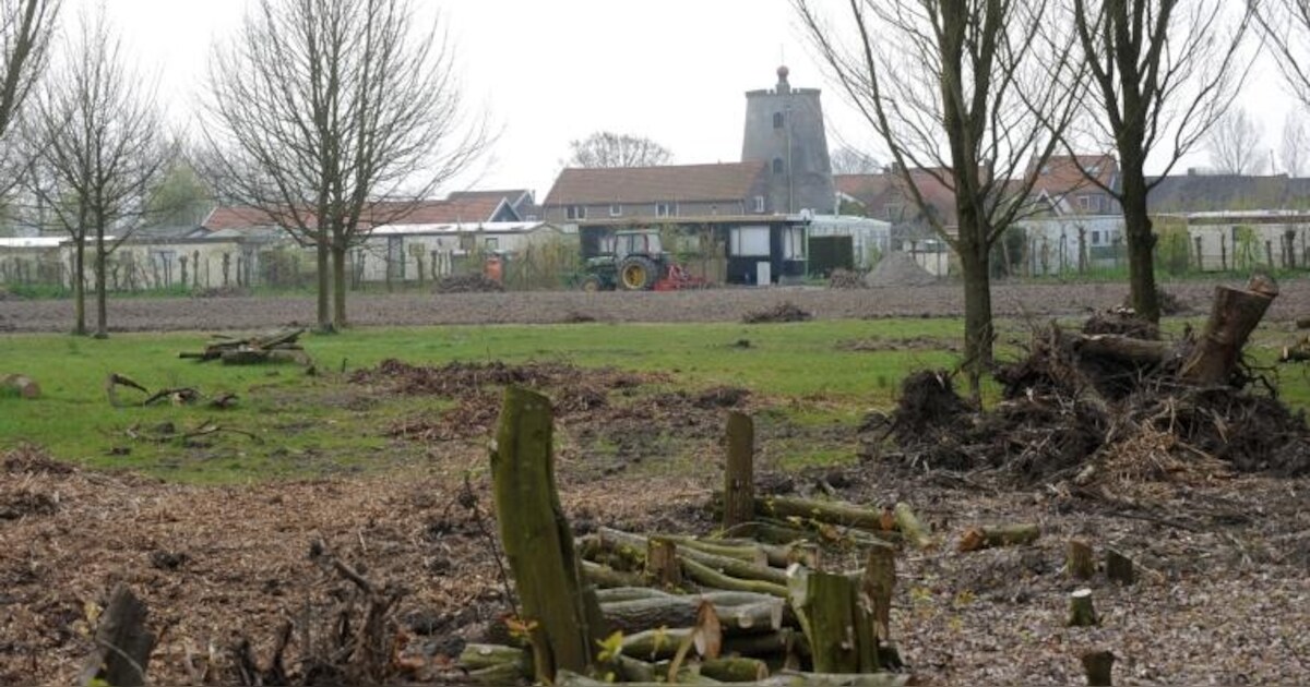 Doorkijkje naar Oud-Sabbinge