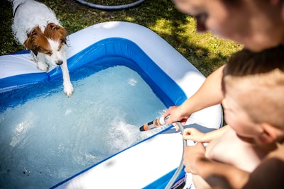 Na langdurige regen en stevige wind wacht zonnig zomerweer: temperaturen van 25 graden of meer verwacht