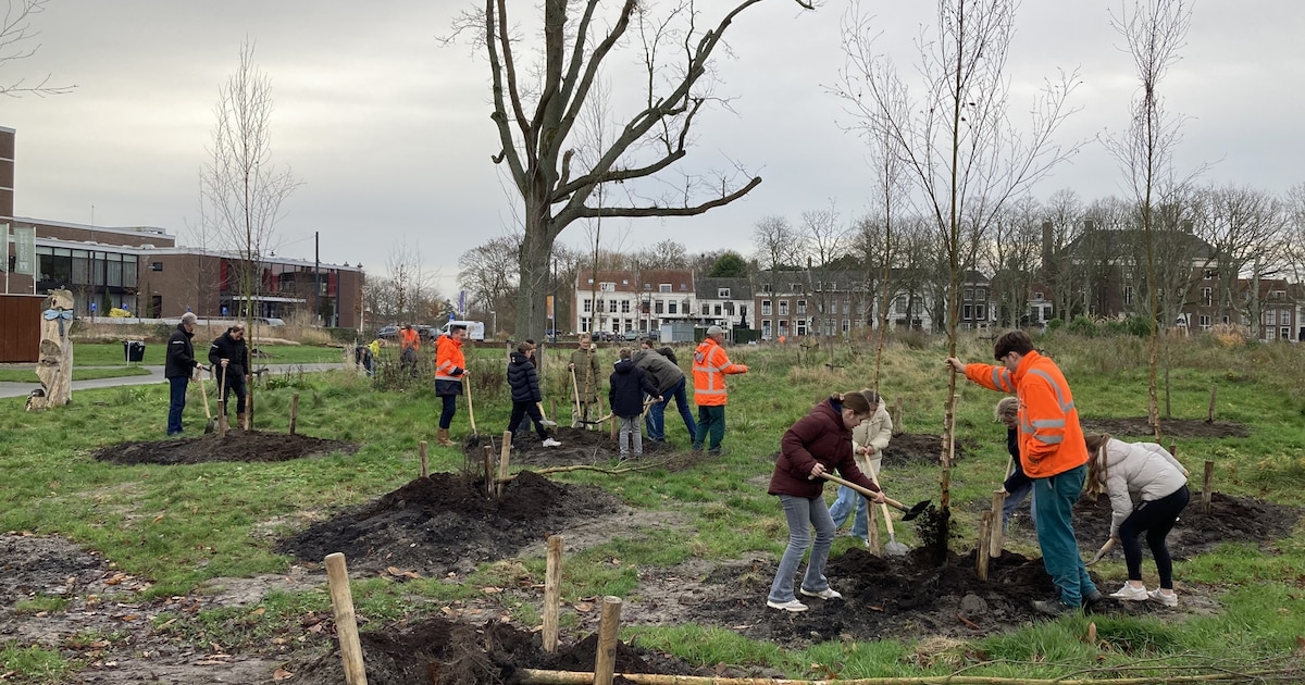 Leerlingen van basisschool Acaciahof planten bomen in Middelburg tijdens boomfeestdag
