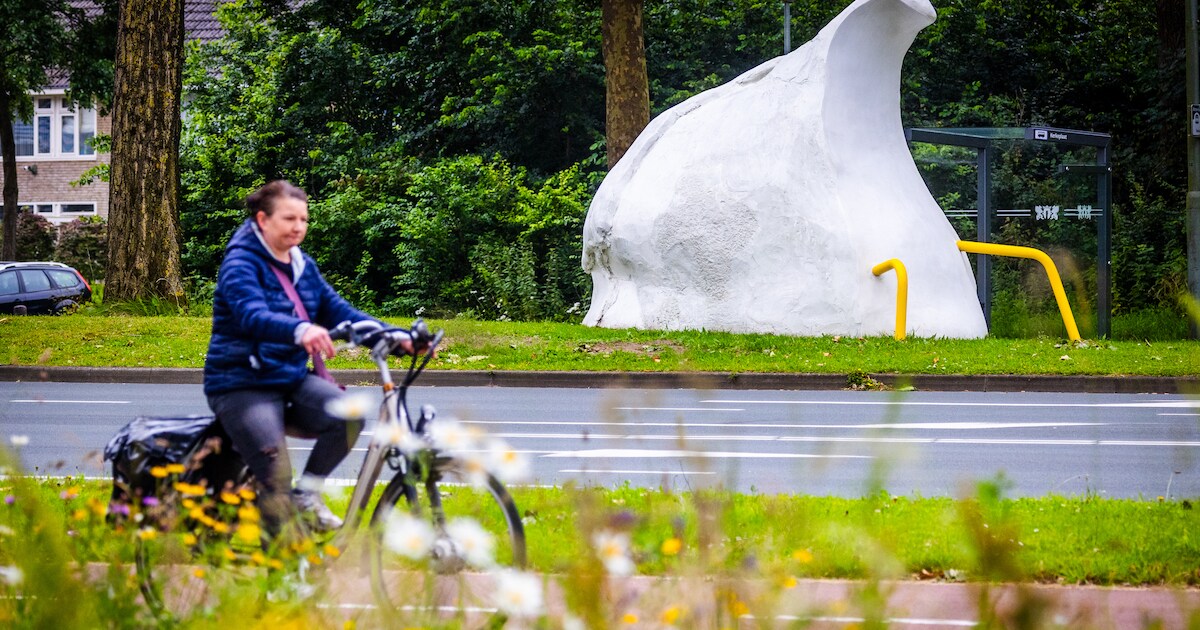 Waar komt die enorme eendenkont op de Staart vandaan? ‘Baanhoekweg wordt entree naar Biesbosch’