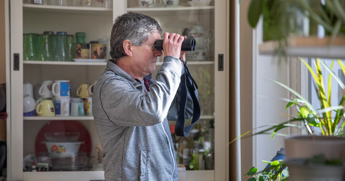 Paul vilt vogels, wast ze met Dreft, steekt er naalden in én volgt ze liefdevol vanachter zijn raam