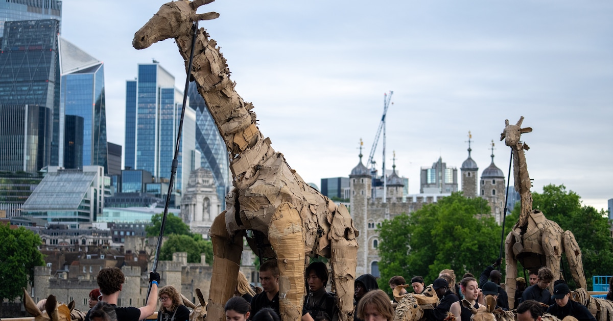 Stoet met levensgrote dieren door de stad: The Herds komt naar Rotterdam