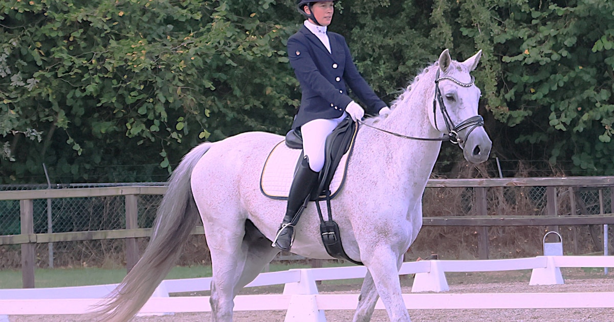 Sarah van Cleemput en ruin Grey steken in goede vorm, winst bij dressuur Clinge