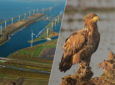Vragen (en antwoorden) over stilzetten windturbines in windpark bij Kreekraksluizen