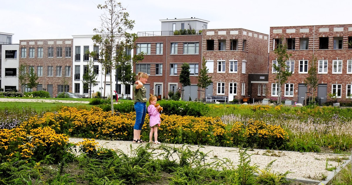 Weekendtips: deze dingen doe je in Vlissingen (27-29 maart)