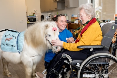Shetlandpony Coco zorgt voor glinsterende ogen in het zorgcentrum: ‘Hè, schatje!’