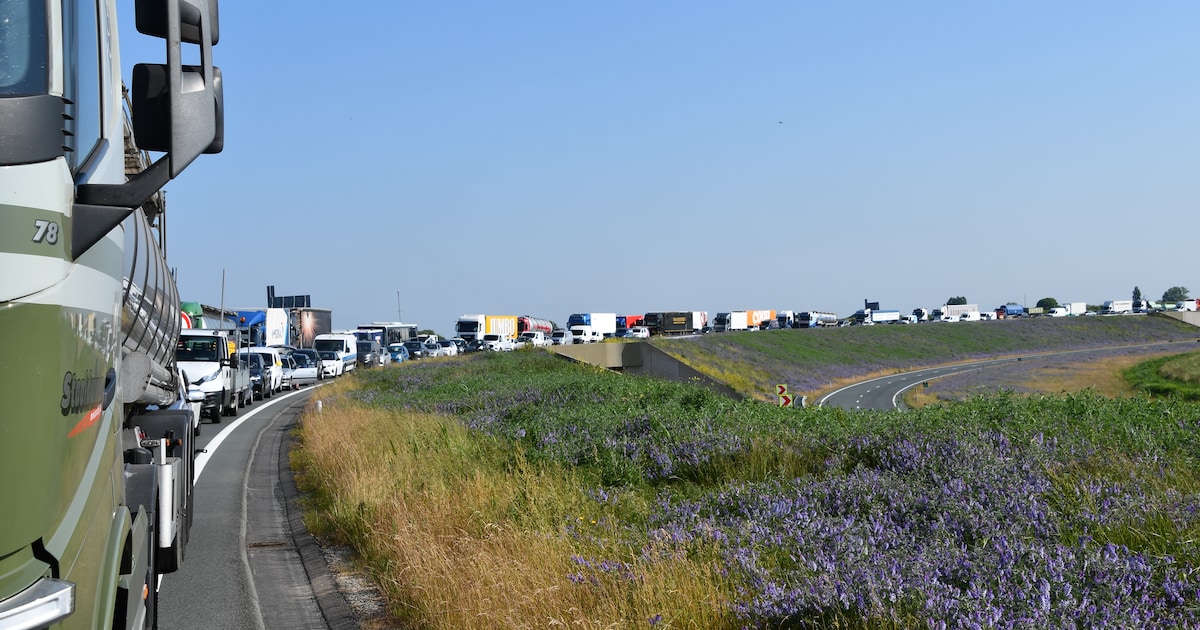 Zeeuwen reageren massaal op sluiting Westerscheldetunnel: ‘Zet wel een frietkot neer’