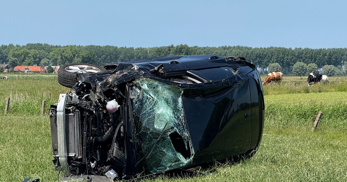 Wagen belandt in weide bij zwaar ongeval in Damme: bestuurder (24) gewond afgevoerd