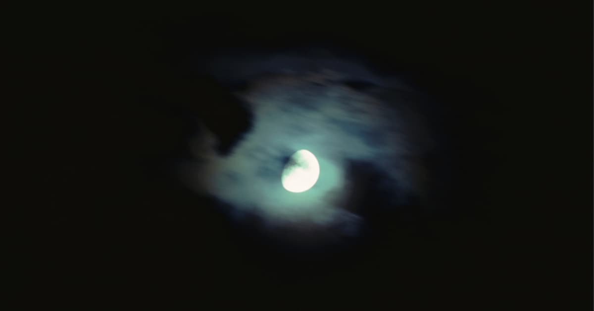 Nacht van de Nacht met rondleidingen in muZEEm Vlissingen