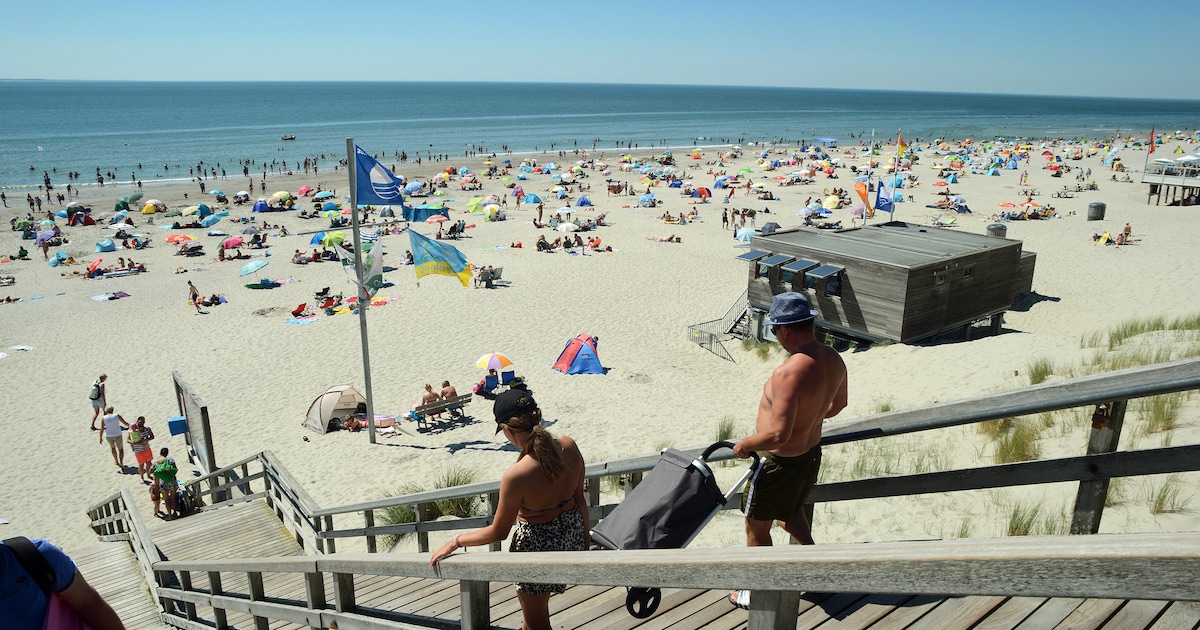 Verweer tegen uitbreiding strandterrassen: ‘Laten we het strand, zo ...