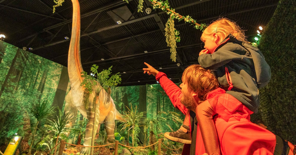 Dino’s nemen Zeelandhallen over: ‘Wow papa, deze heeft een killerrate 9!’