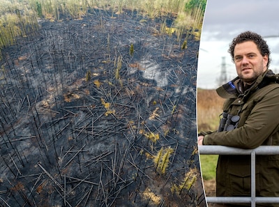 Terwijl Brabant en de Veluwe branden, waakt kurkdroog Zeeland voor die ene vonk: ‘Dit is een giftige cocktail’