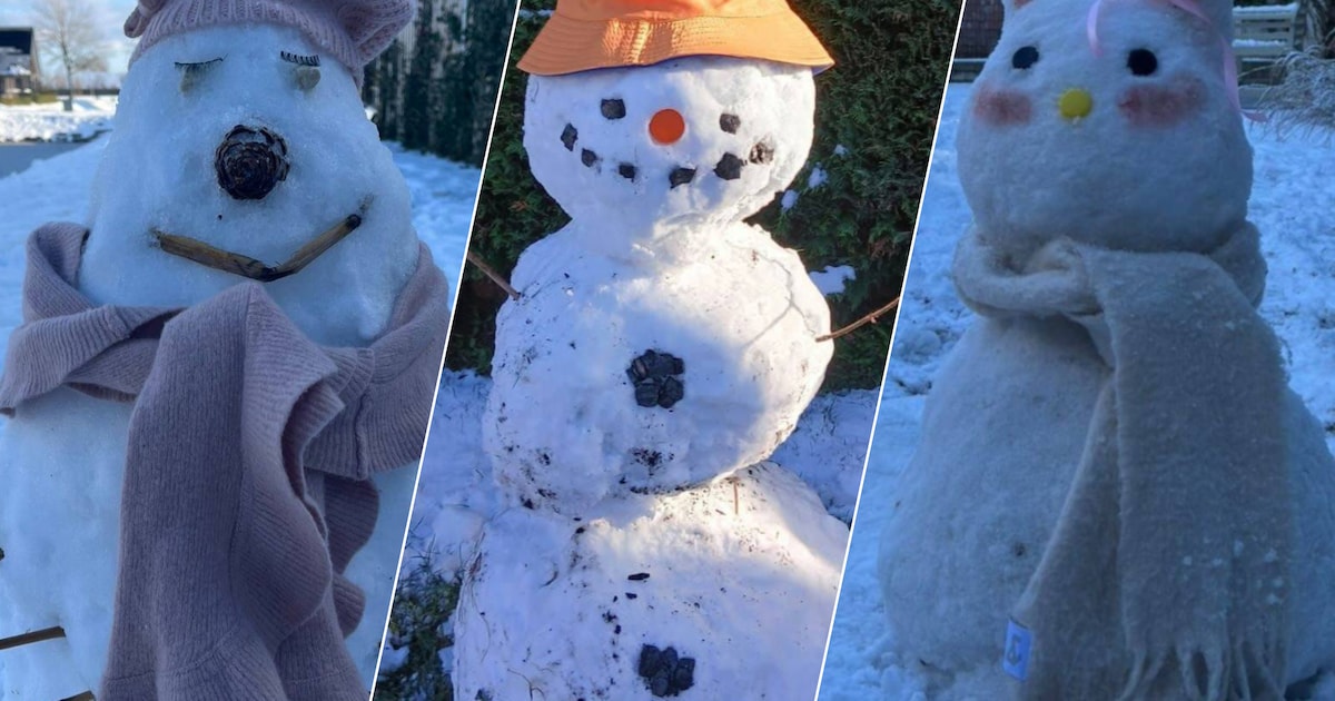 Leerlingen van Goese school maakten sneeuwpoppen als huiswerk, met een wel héél bijzonder exemplaar